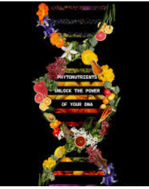 Phyto nutrients extraction